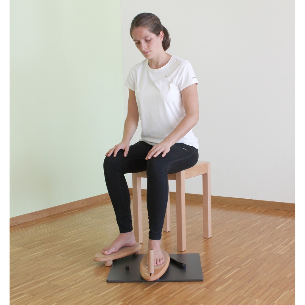 PhysioFlip Gelenktrainer