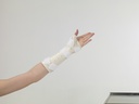 Manosplint Wisconsin