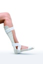 Manosplint Montana