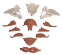 Weibliches Beckenbodenmodell, 12 Teile