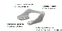 RehaSplint
