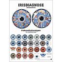 Iris-Diagnose