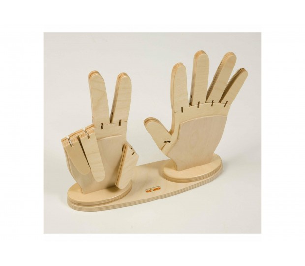 Zählende Hand
