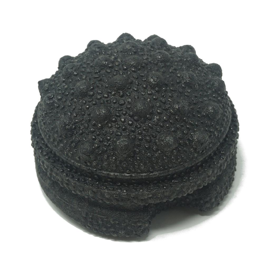 Blackroll Twister
