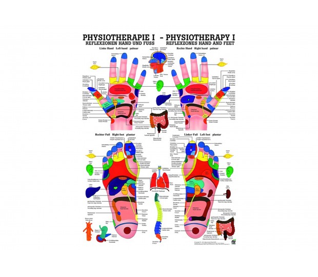 Reflexzonen Hand und Fuss