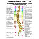 Wirbeltherapie nach Dorn
