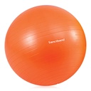 Sanctband Gymnastikball ABS 