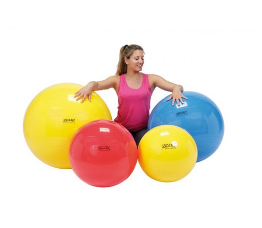 Gymnic Ball Classic