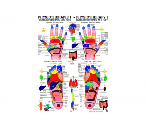 Reflexzonen Hand und Fuss