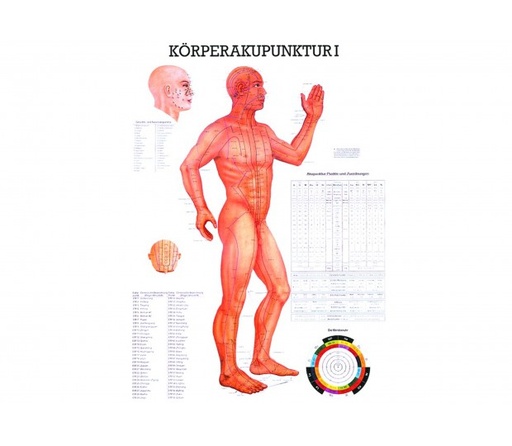 Körperakupunktur I