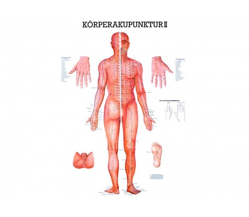 Körperakupunktur II