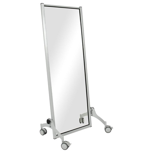 [Art. Nr. TEC23522] Spiegel Exklusiv, HxB 150x55 cm, fahrbar