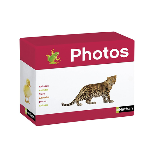 Fotoboxen