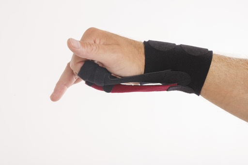 Workshop NRX Strap Level 1, Graz