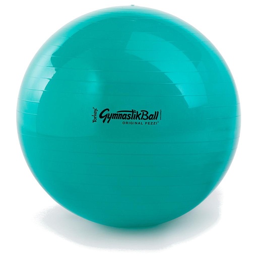 Pezzi Gymnastikball Standard 65cm 